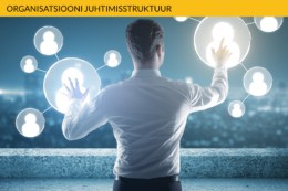 Organisatsiooni juhtimisstruktuur