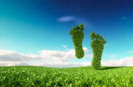 Reducing your carbon footprint with an electronic DMS