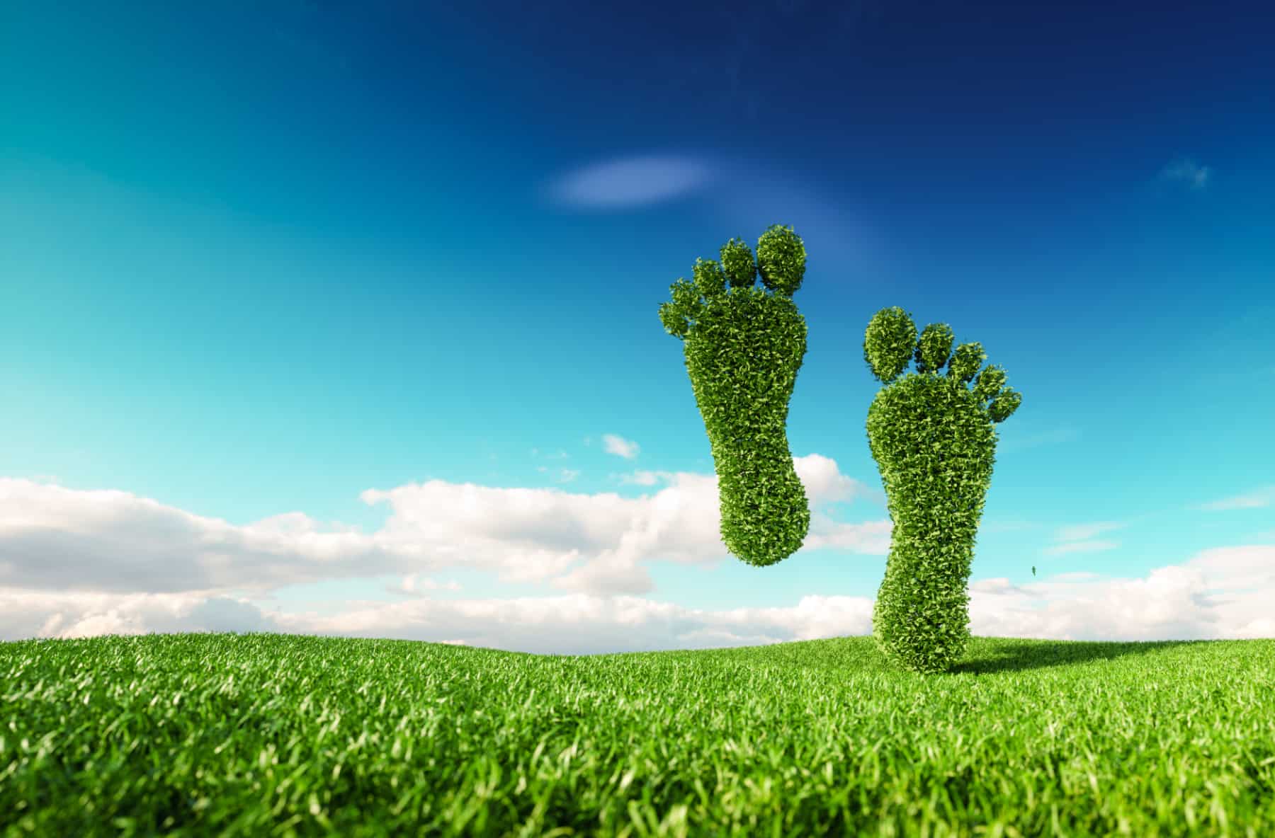 Reducing your carbon footprint with an electronic DMS