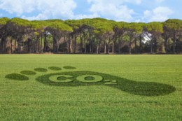 Carbon neutral company